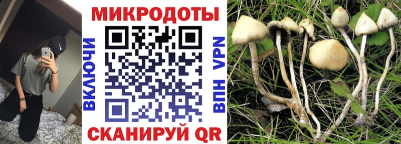 Купить закладки  Петровск  Галлюциногенные грибы прущие грибы 