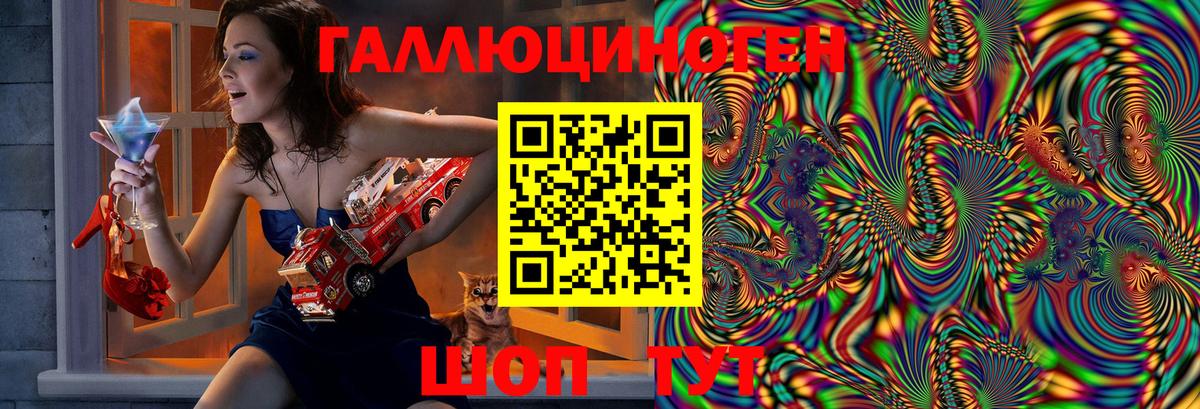 купить   Псилоцибиновые грибы Psilocybe  Петровск  Галлюциногенные грибы Magic Shrooms 