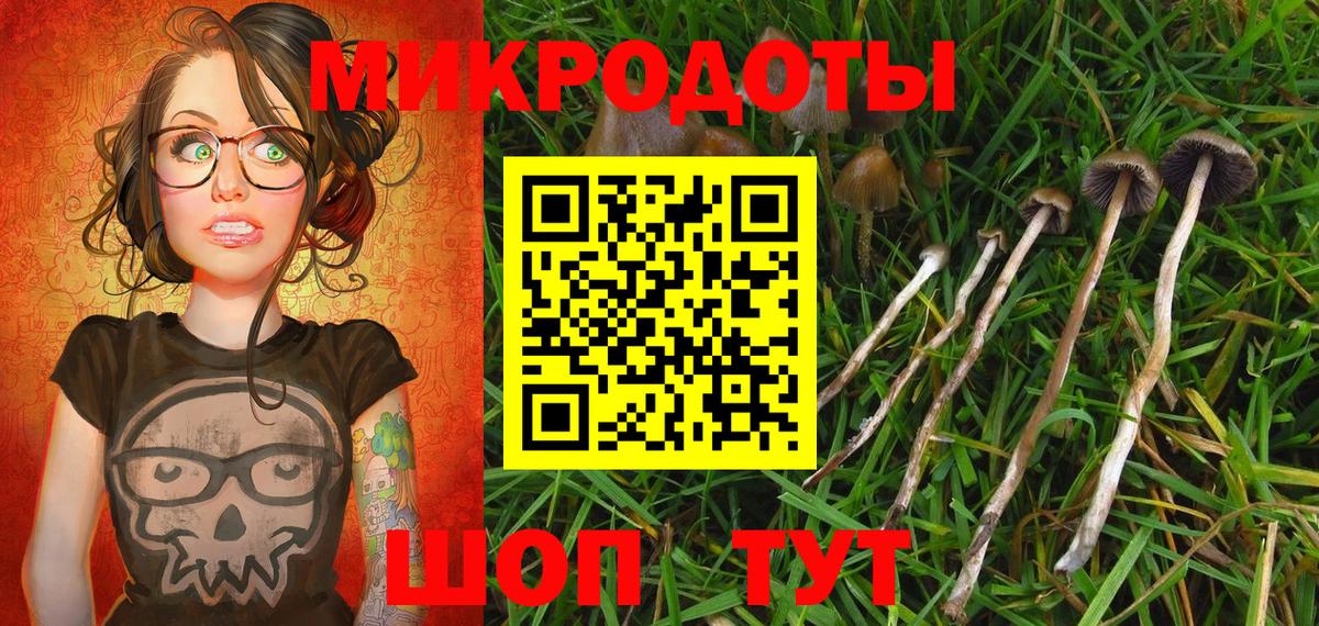 Псилоцибиновые грибы GOLDEN TEACHER Петровск